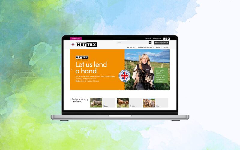 Display of Nettex website on a laptop screen developed by The Web Orchard